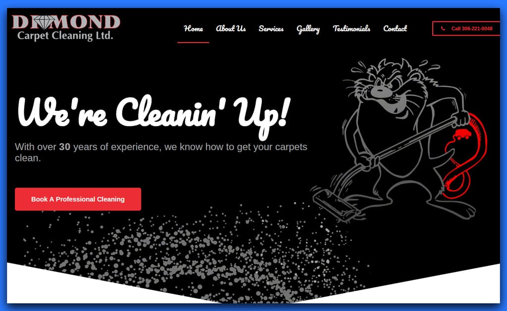 Diamond Carpet Cleaning Saskatoon